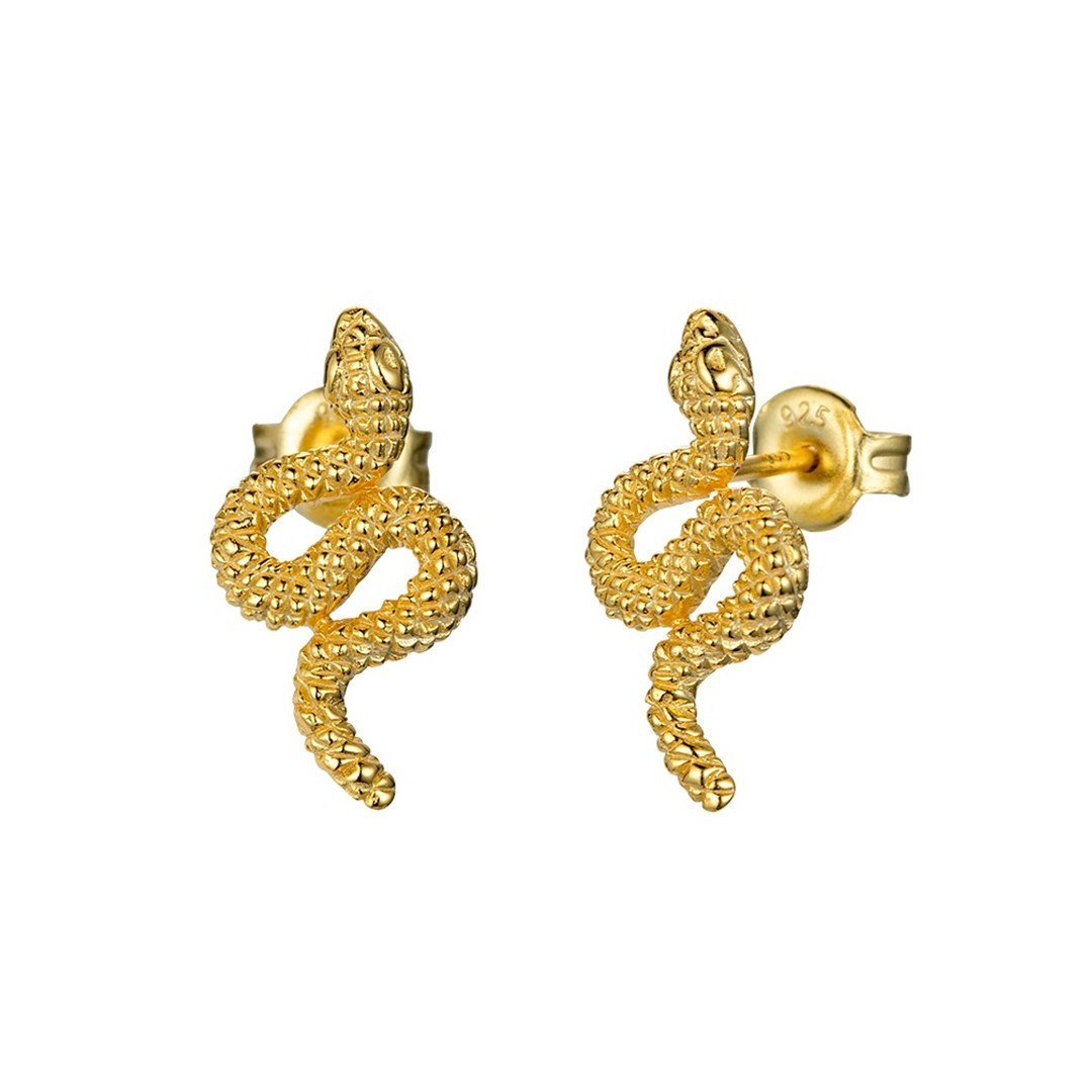 Silver Earring - Snake Silver Earring - Snake